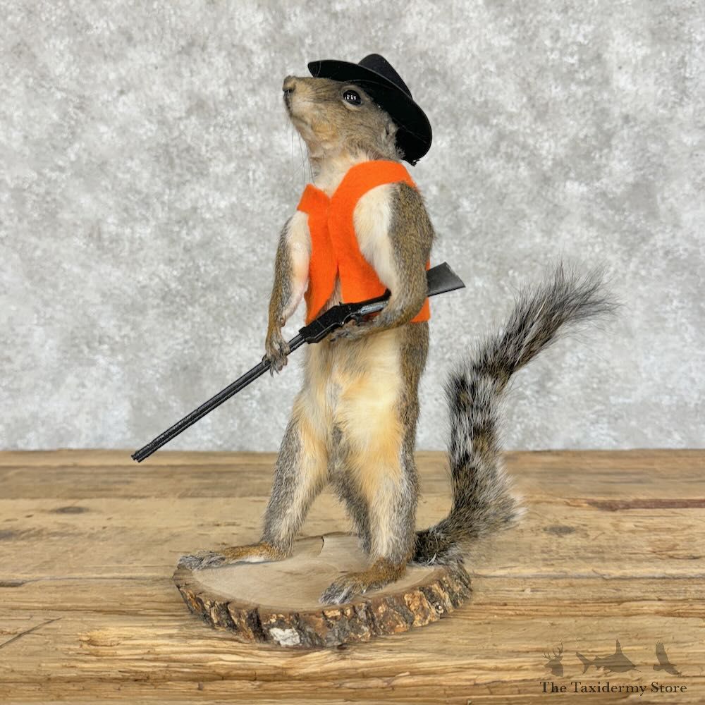 Hunting Squirrel Novelty Mount For Sale #29081 @ The Taxidermy Store