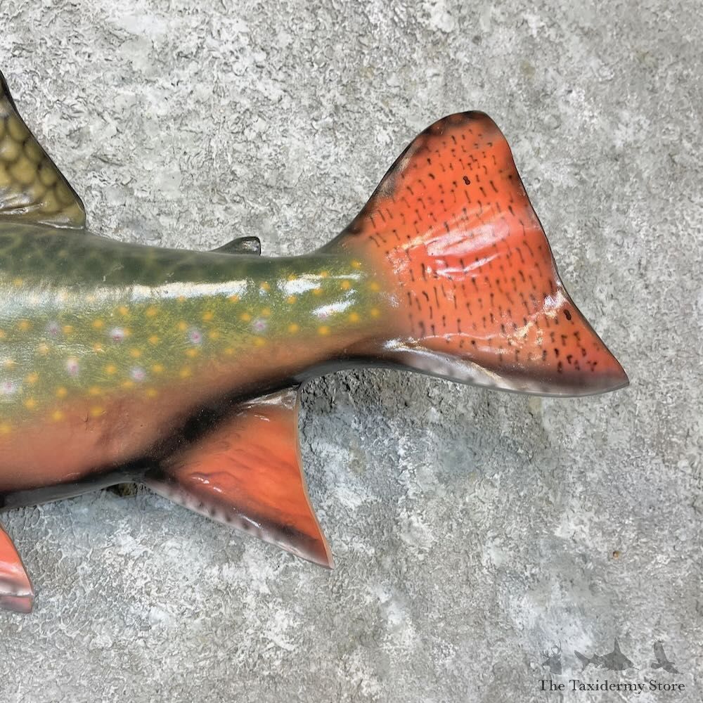 Brook Trout Fish Mount For Sale #27248 @ The Taxidermy Store