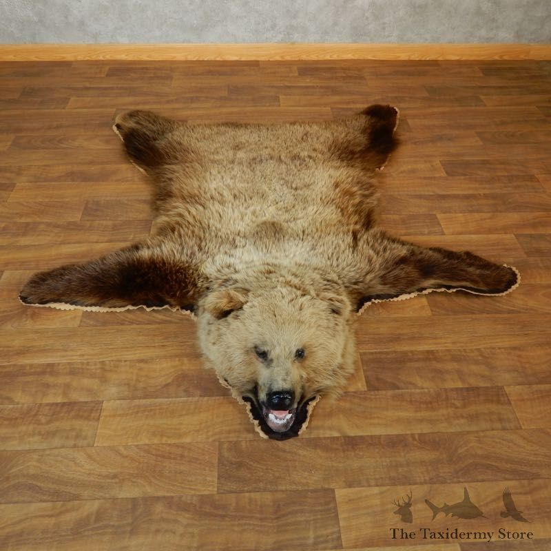 Grizzly Bear Taxidermy Rug Mount For Sale #18211 @ The Taxidermy Store