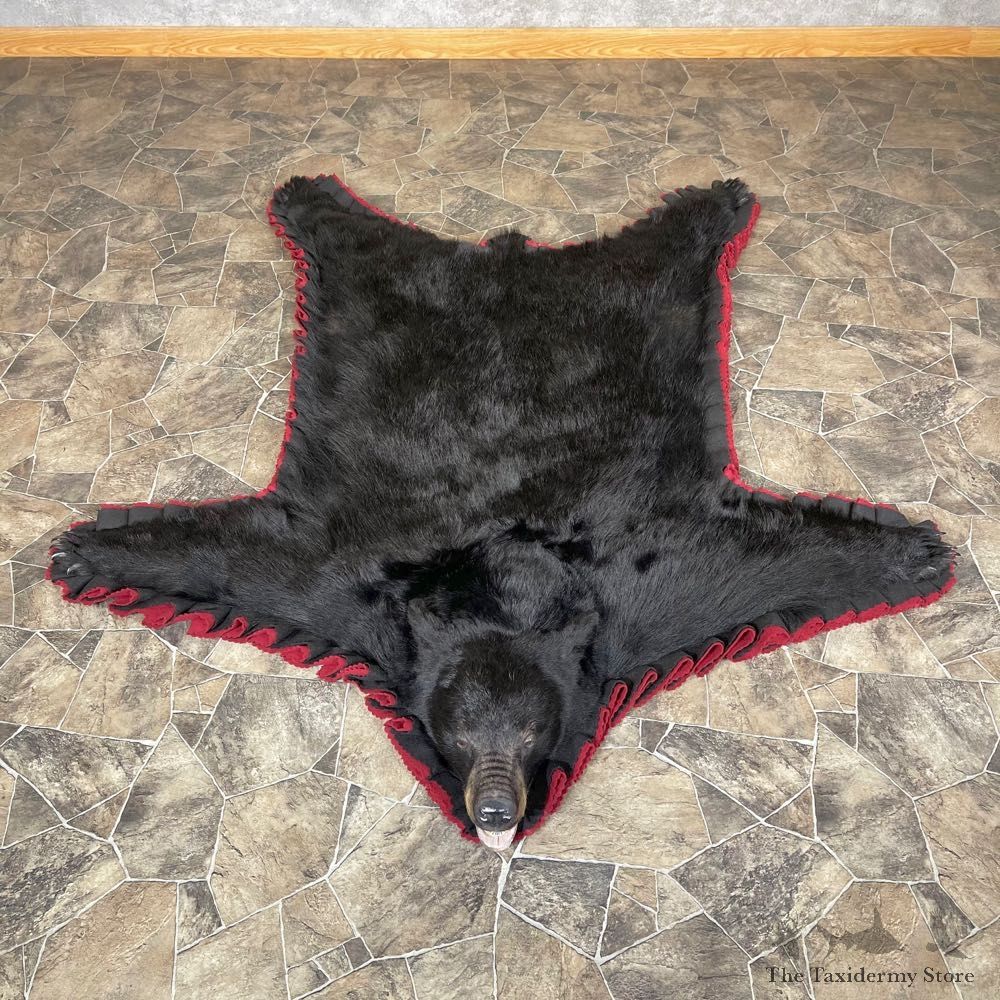 Black Bear Full-Size Rug For Sale #24175 @ The Taxidermy Store