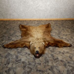 Grizzly Bear Taxidermy Rug Mount For Sale #19921 @ The Taxidermy Store