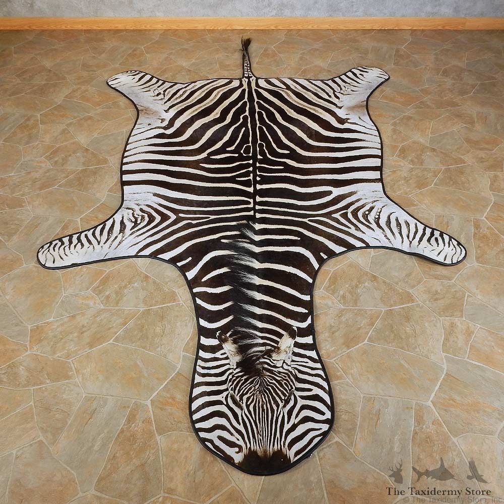 African Zebra Full-Size Rug For Sale #15704 @ The Taxidermy Store