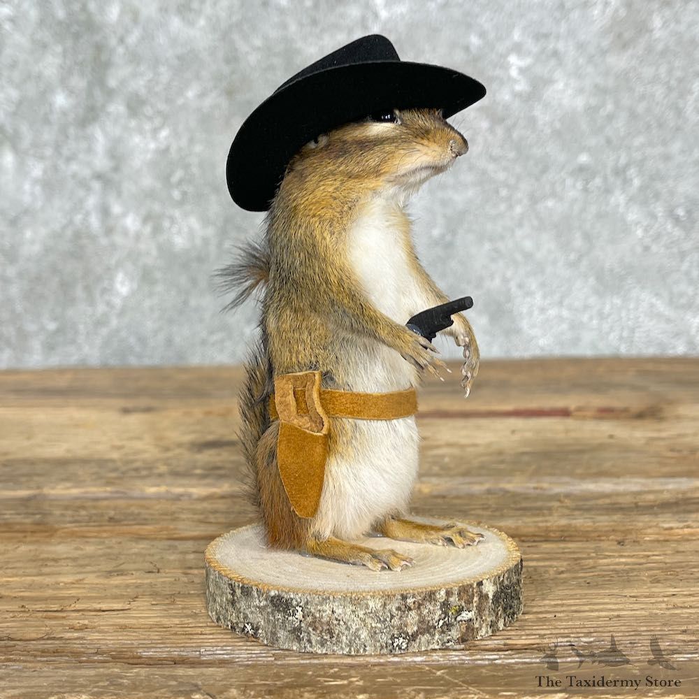 Cowboy Chipmunk Novelty Mount For Sale #25532 @ The Taxidermy Store