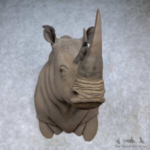 Rhinoceros Replica Shoulder Mount For Sale #14467 @ The Taxidermy Store