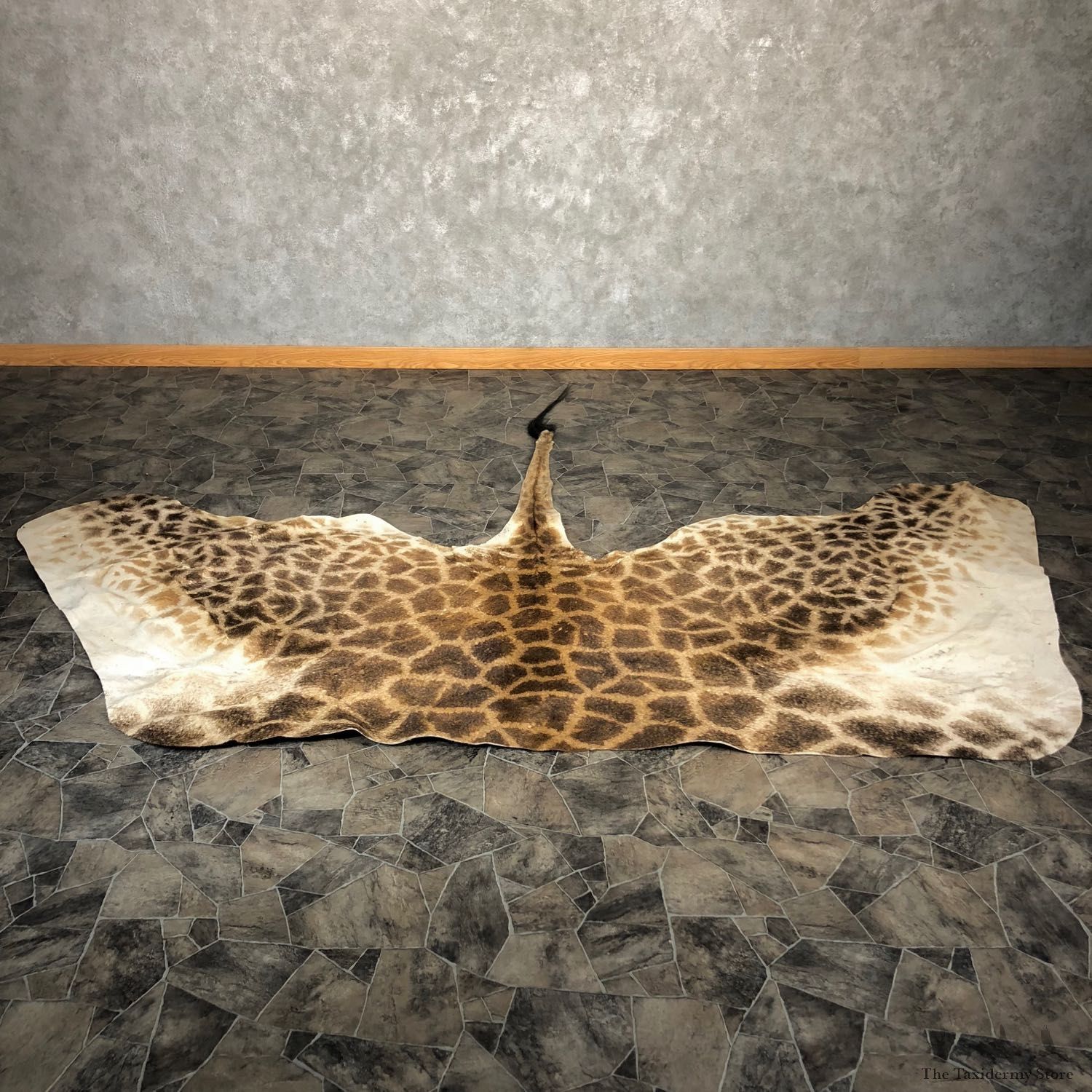 African Giraffe Taxidermy Back Hide For Sale #20073 @ The Taxidermy Store