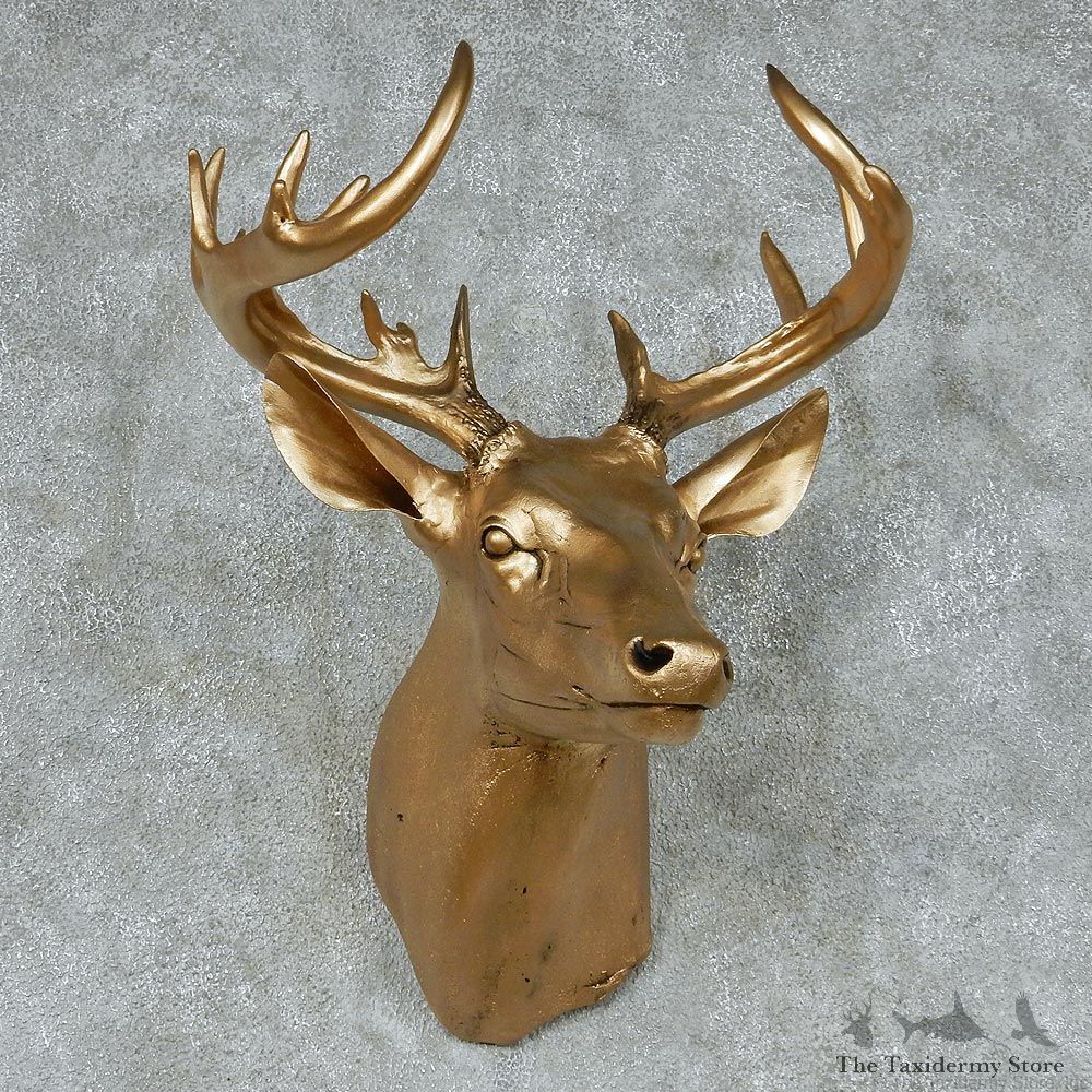 Golden Whitetail Deer Shoulder Taxidermy Mount #13113 For Sale @ The Taxidermy Store