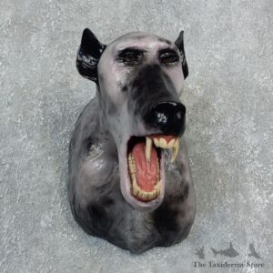 Reproduction Chupacabra Mount #18310 For Sale @ The Taxidermy Store