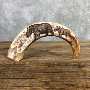 Scrimshawed Warthog Tooth For Sale #19946 @ The Taxidermy Store