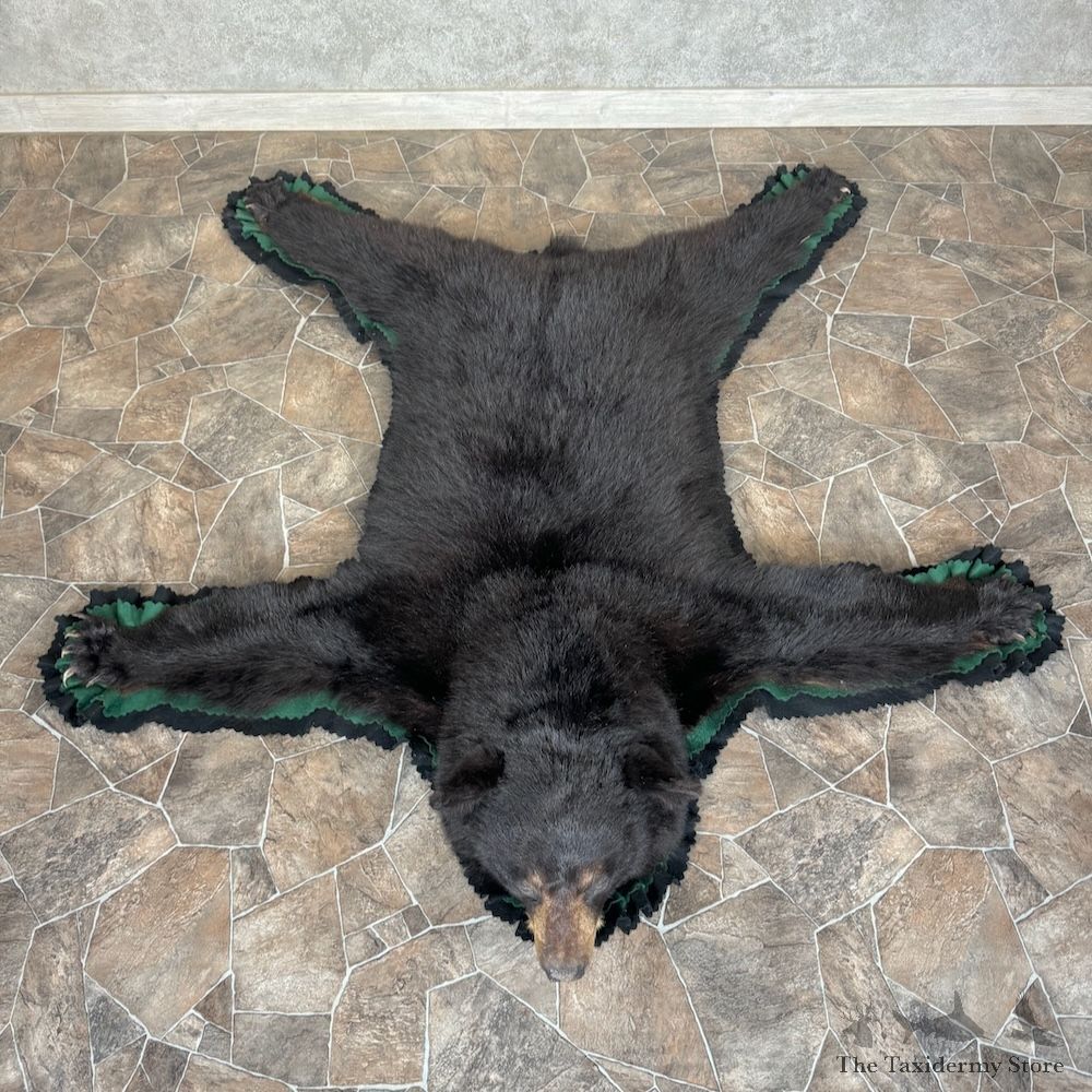 Black Bear Full-Size Rug For Sale #29763 @ The Taxidermy Store