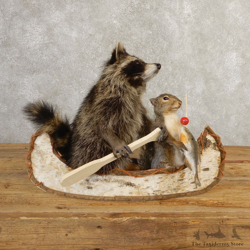 Canoeing Raccoon And Fishing Squirrel Novelty Mount For Sale #20749 @ The Taxidermy Store