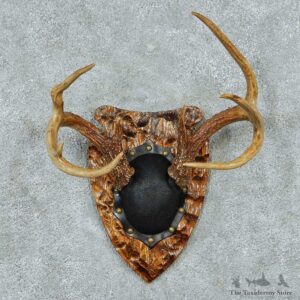 Whitetail Deer Antler Plaque Mount #13772 For Sale @ The Taxidermy Store