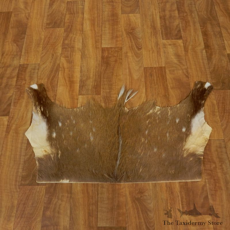 Bushbuck Taxidermy Hide Rug For Sale #17450 @ The Taxidermy Store