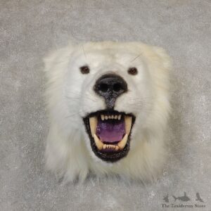 Reproduction Polar Bear Shoulder Mount #21060 For Sale @ The Taxidermy Store