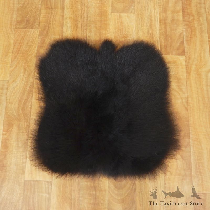 Black Bear Throw Rug For Sale #17447 @ The Taxidermy Store
