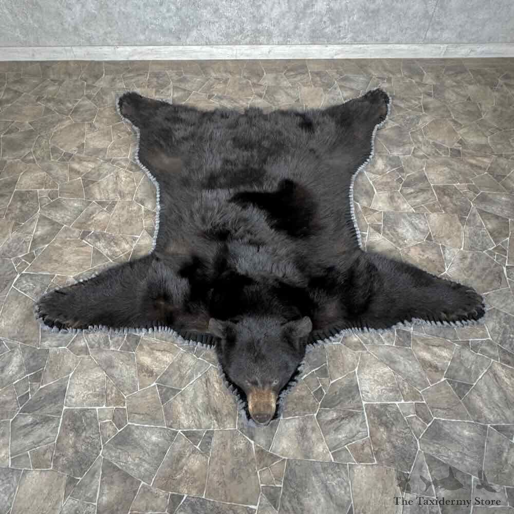 Black Bear Full Size Rug For Sale #31875 @ The Taxidermy Store